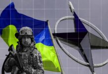 Kellogg’s Proposed NATO Replacement Isn’t All That Realistic