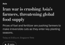 “The Iran war is destroying Asia’s agriculture” – Now the geopolitical escalation is reaching the world’s plate