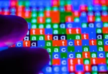 In 2008, the Baric laboratory published a design for artificially created coronaviruses without any discernible traces of their manufacture